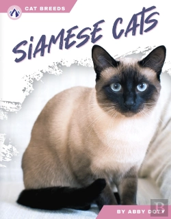 Bertrand.pt - Siamese Cats