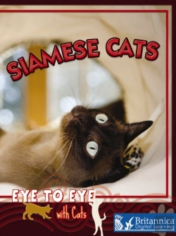 Bertrand.pt - Siamese Cats