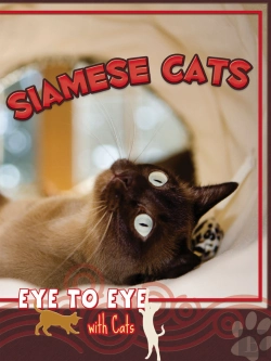 Bertrand.pt - Siamese Cats