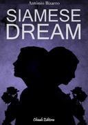 Siamese Dream