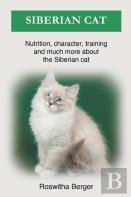 Siberian Cat
