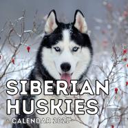 Siberian Huskies Calendar 2021