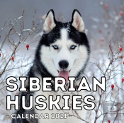 Siberian Huskies Calendar 2021