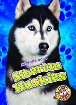 Bertrand.pt - Siberian Huskies