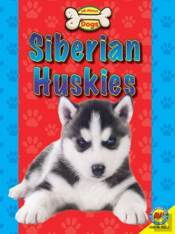 Bertrand.pt - Siberian Huskies