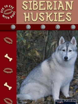 Bertrand.pt - Siberian Huskies