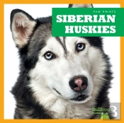 Siberian Huskies