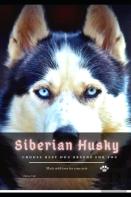 Siberian Husky
