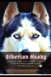 Siberian Husky