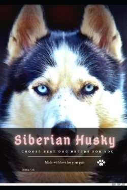 Bertrand.pt - Siberian Husky