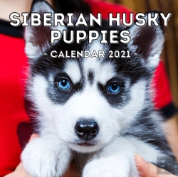 Bertrand.pt - Siberian Husky Puppies Calendar 2021