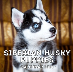 Bertrand.pt - Siberian Husky Puppies Calendar 2021