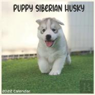 Siberian Husky Puppy 2022 Calendar