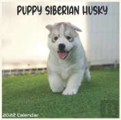 Siberian Husky Puppy 2022 Calendar