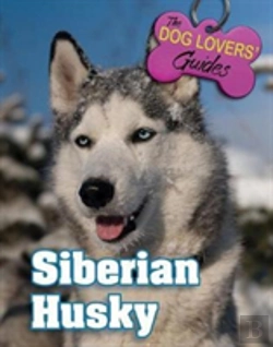 Bertrand.pt - Siberian Husky