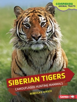 Bertrand.pt - Siberian Tigers