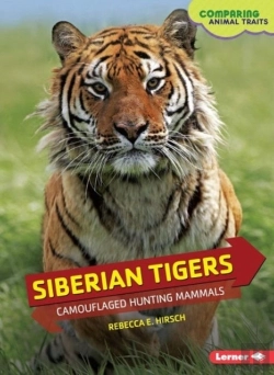 Bertrand.pt - Siberian Tigers
