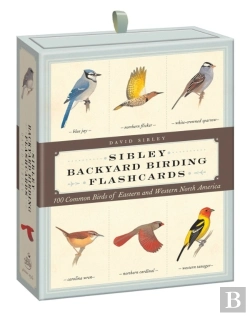 Bertrand.pt - Sibley Backyard Birding Flashcards