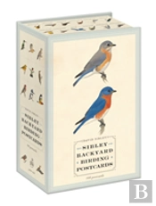 Sibley Backyard Birding Postcards