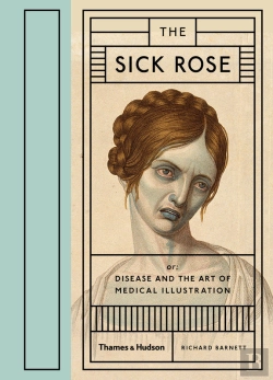 Bertrand.pt - Sick Rose
