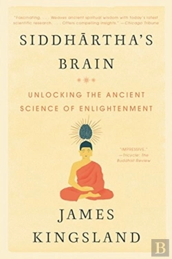 Bertrand.pt - Siddharthas Brain