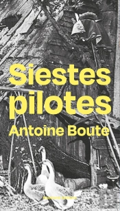 Siestes Pilotes