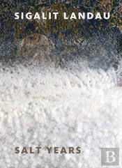 Sigalit Landau: Salt Years