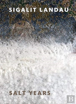 Bertrand.pt - Sigalit Landau: Salt Years