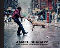 Sights In The City: New York Photographs (Collector'S Edition)