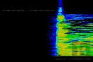 Signal Decay