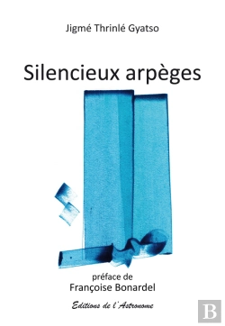 Bertrand.pt - Silencieux Arpèges