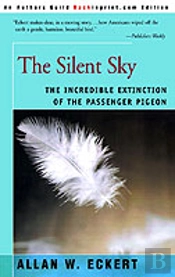 Silent Sky