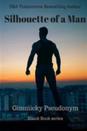 Silhouette Of A Man