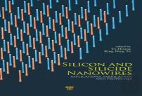 Silicon And Silicide Nanowires
