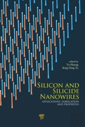 Silicon And Silicide Nanowires
