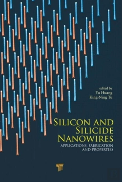 Bertrand.pt - Silicon And Silicide Nanowires