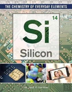 Bertrand.pt - Silicon