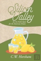 Silicon Valley: Joe Six-Pack'S Quest For The American Dream