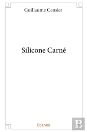 Silicone Carné