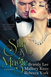 Silk And Magic Book One