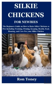 Silkie Chickens For Newbies