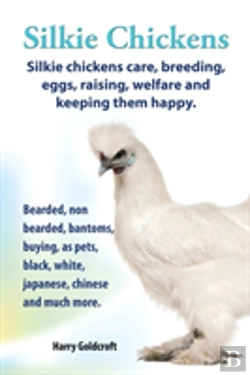 Bertrand.pt - Silkie Chickens