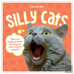 Bertrand.pt - Silly Cats