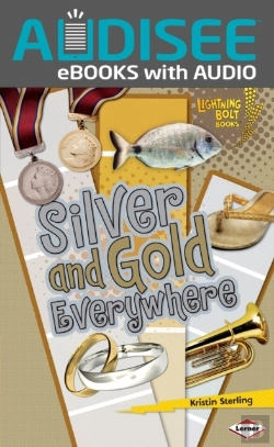 Bertrand.pt - Silver And Gold Everywhere