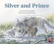 Silver And Prince