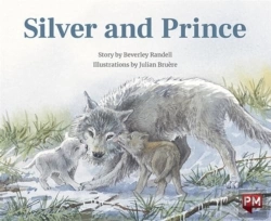 Bertrand.pt - Silver And Prince