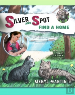 Bertrand.pt - Silver And Spot Find A Home