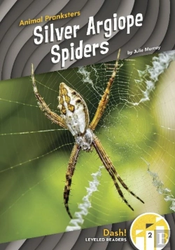 Bertrand.pt - Silver Argiope Spiders