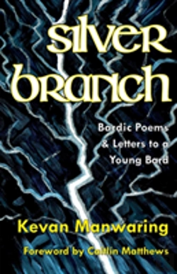 Bertrand.pt - Silver Branch