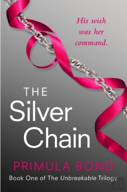 Bertrand.pt - Silver Chain